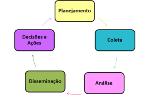 O Ciclo Da Intelig Ncia Competitiva Singularis